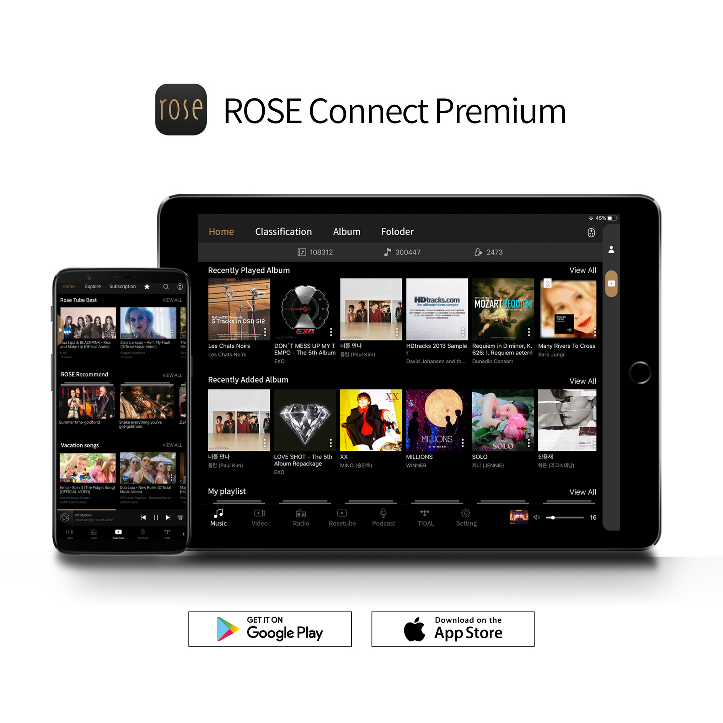 [B-Stock] RS250A Wireless Network Streamer